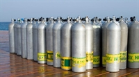 reduced multi-location diveoperation mexican - 1
