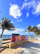 established caribbean hostel puerto - 3