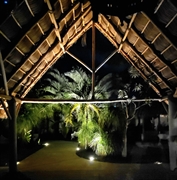 7 performing puerto vallarta - 3