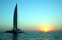 mexican cruise charter business - 1
