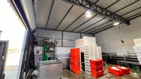 turnkey cold storage food - 2