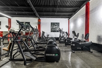 fully equipped debt-free gym - 3