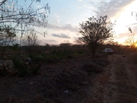 eco-property with ocean view - 3