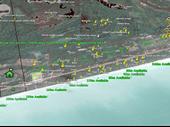 oceanfront eco-hotel project yucatan