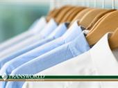 tintorería y lavandería rentable-ingresos